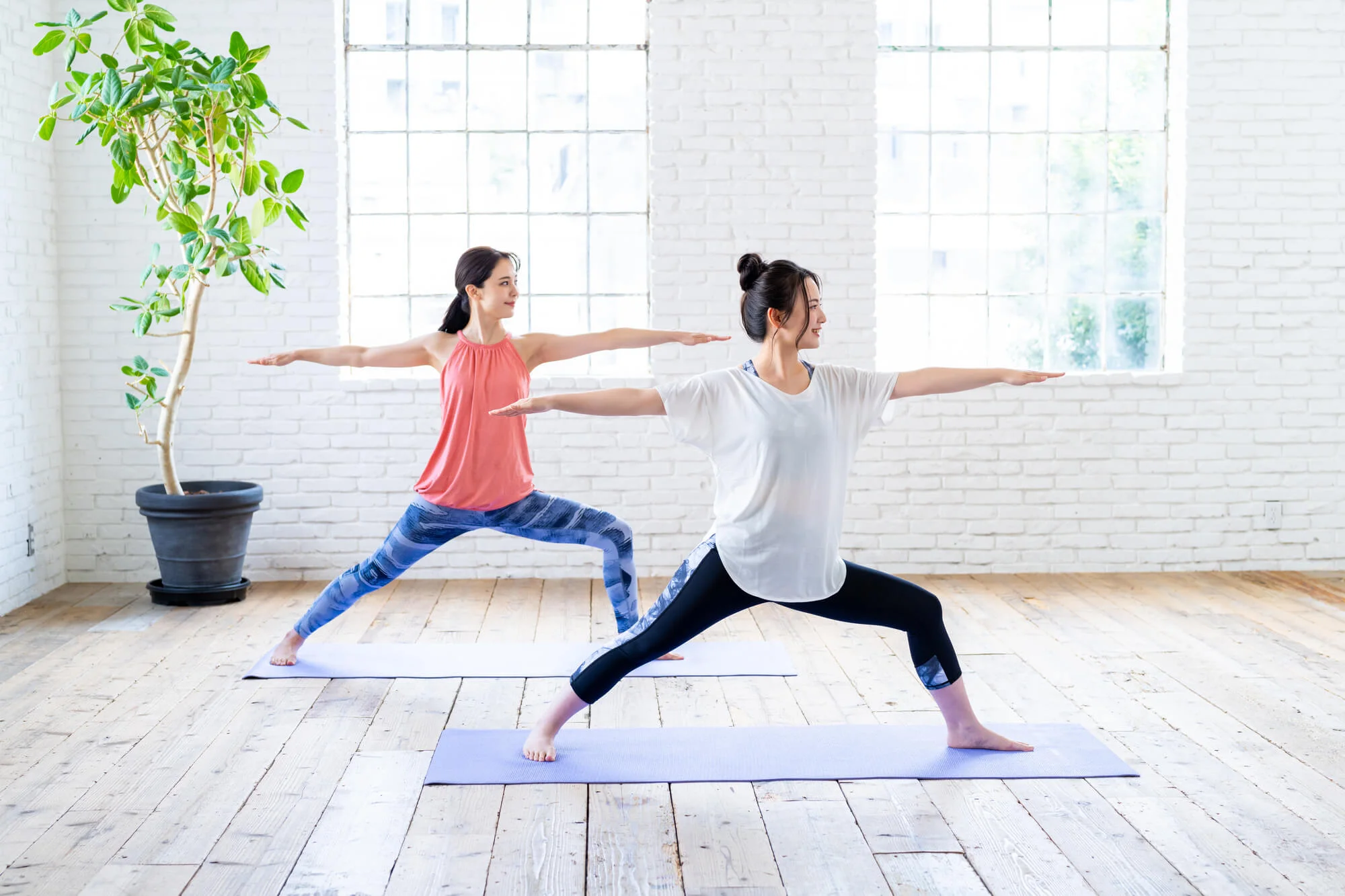 ヨガウェアを着てマットの上でエクササイズをする2人の女性