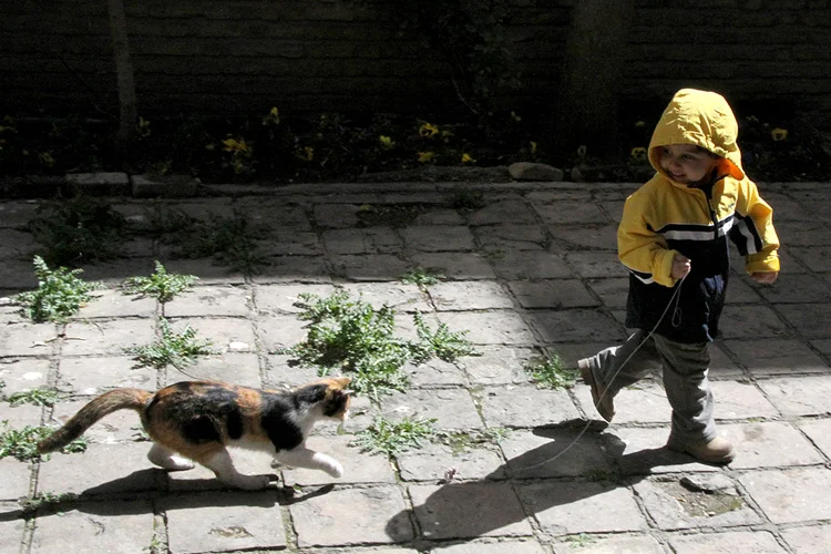 8536089220_bd8e4f7250_o