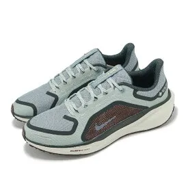 NIKE Pegasus 41 GTX