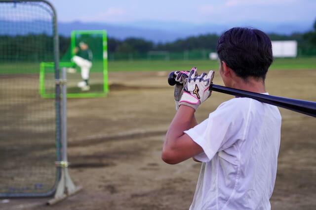 石橋智 盛岡誠桜 甲子園 高校野球