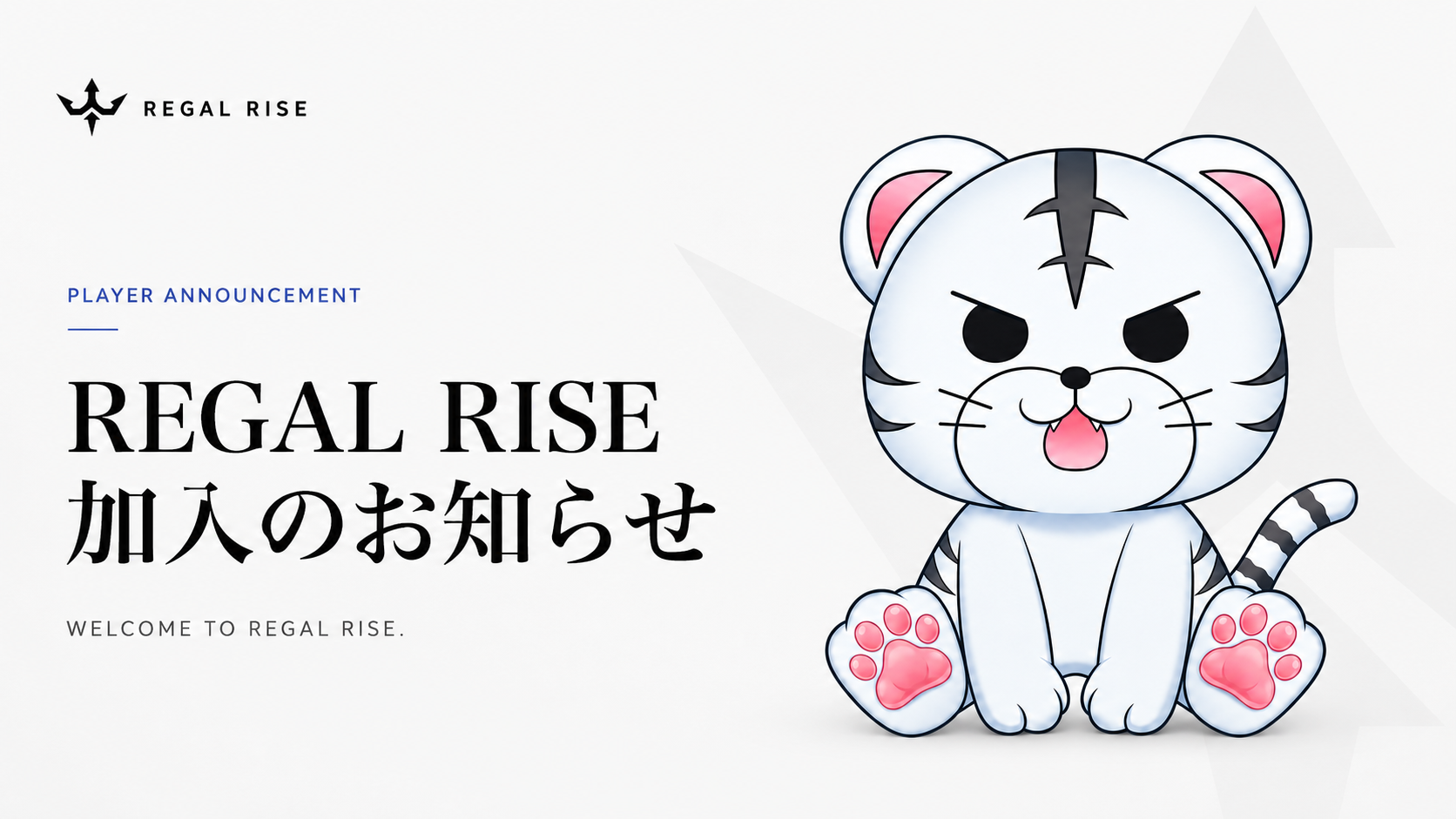 ふみふぁむ / 23fam REGAL RISE加入発表ビジュアル