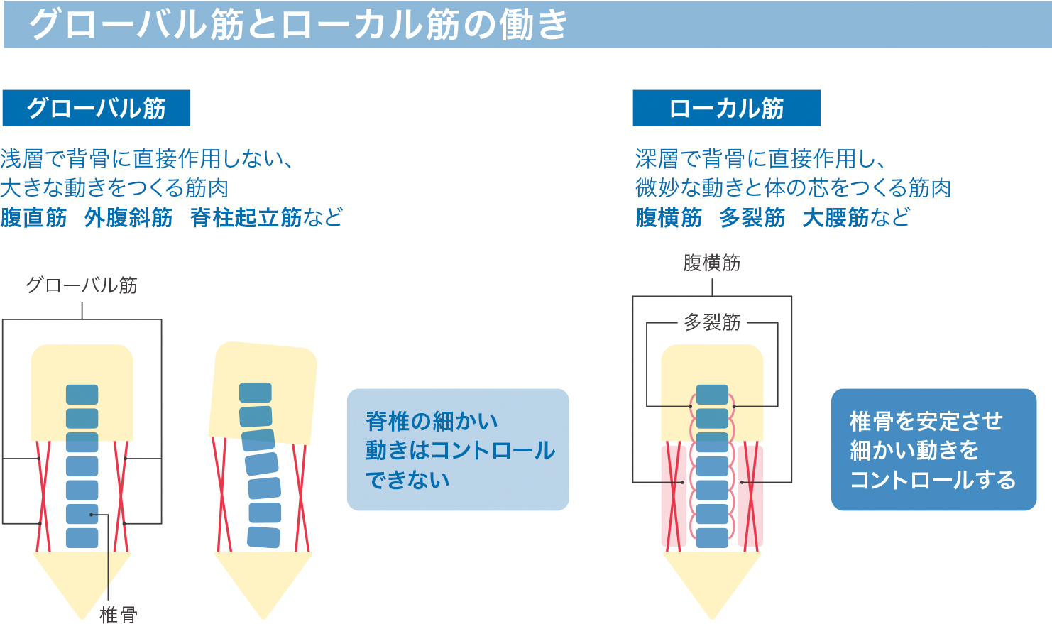 全く新しいオンラインフィットネス&ヨガ｜毎日15分で身体を変える【クラムる】