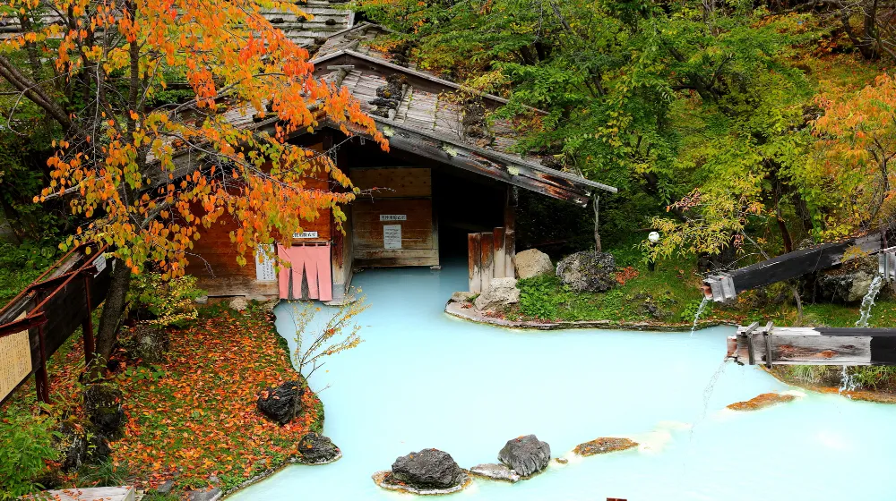 Shirahone Onse Guide | ONSENISTA - Specialized media for Japanese Onsen(hot springs) - 