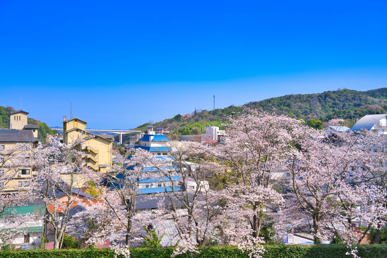 Tamatsukuri Onsen Guide | ONSENISTA - Specialized media for Japanese Onsen(hot springs) - 