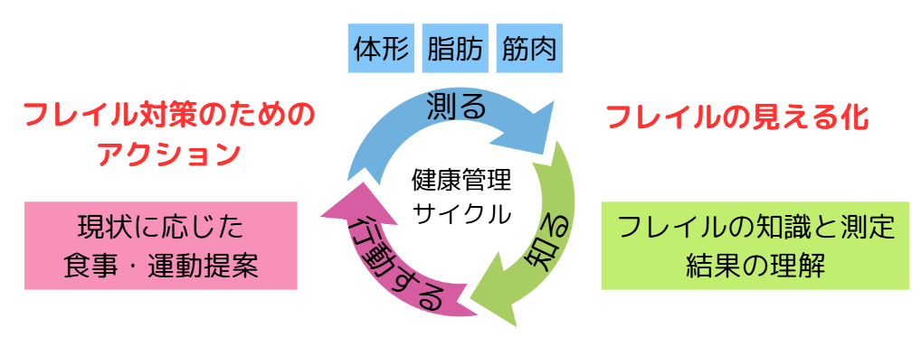 フレイルとは？健康寿命を伸ばすために必要な予防と対策について徹底解説！！ 本文画像6