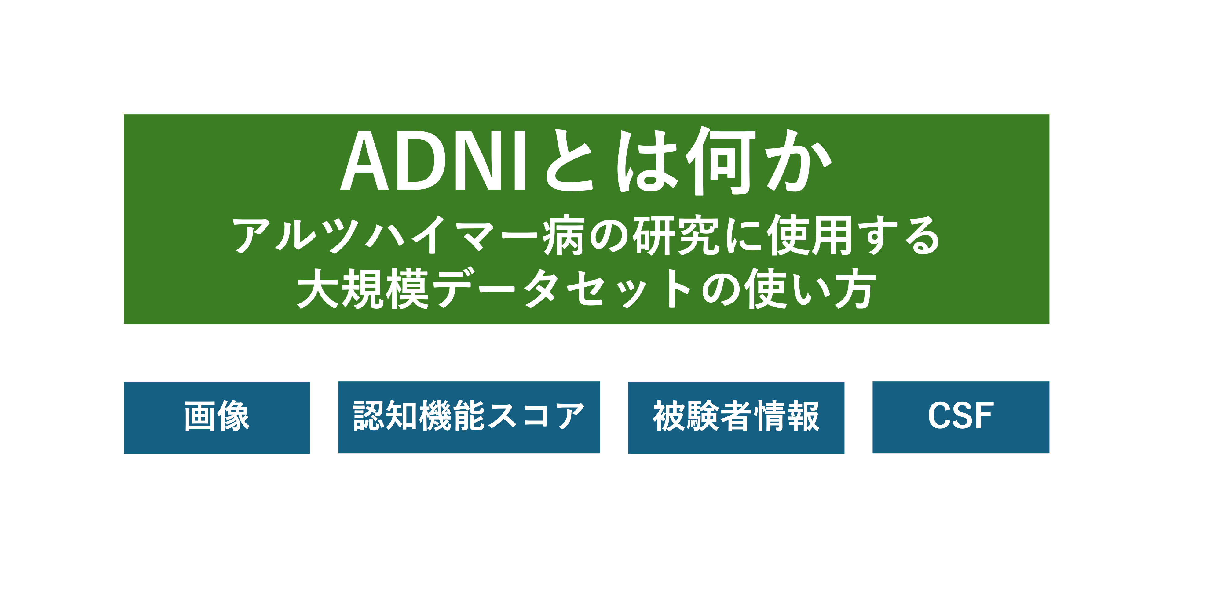 ADNIとは何か？アルツハイマー病研究の世界的データベースを徹底解説｜アクセス方法・使い方・論文執筆時の注意点まで