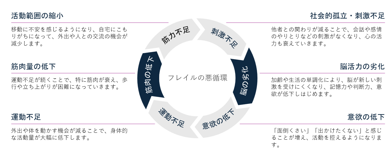 フレイルとは？健康寿命を伸ばすために必要な予防と対策について徹底解説！！ 本文画像5
