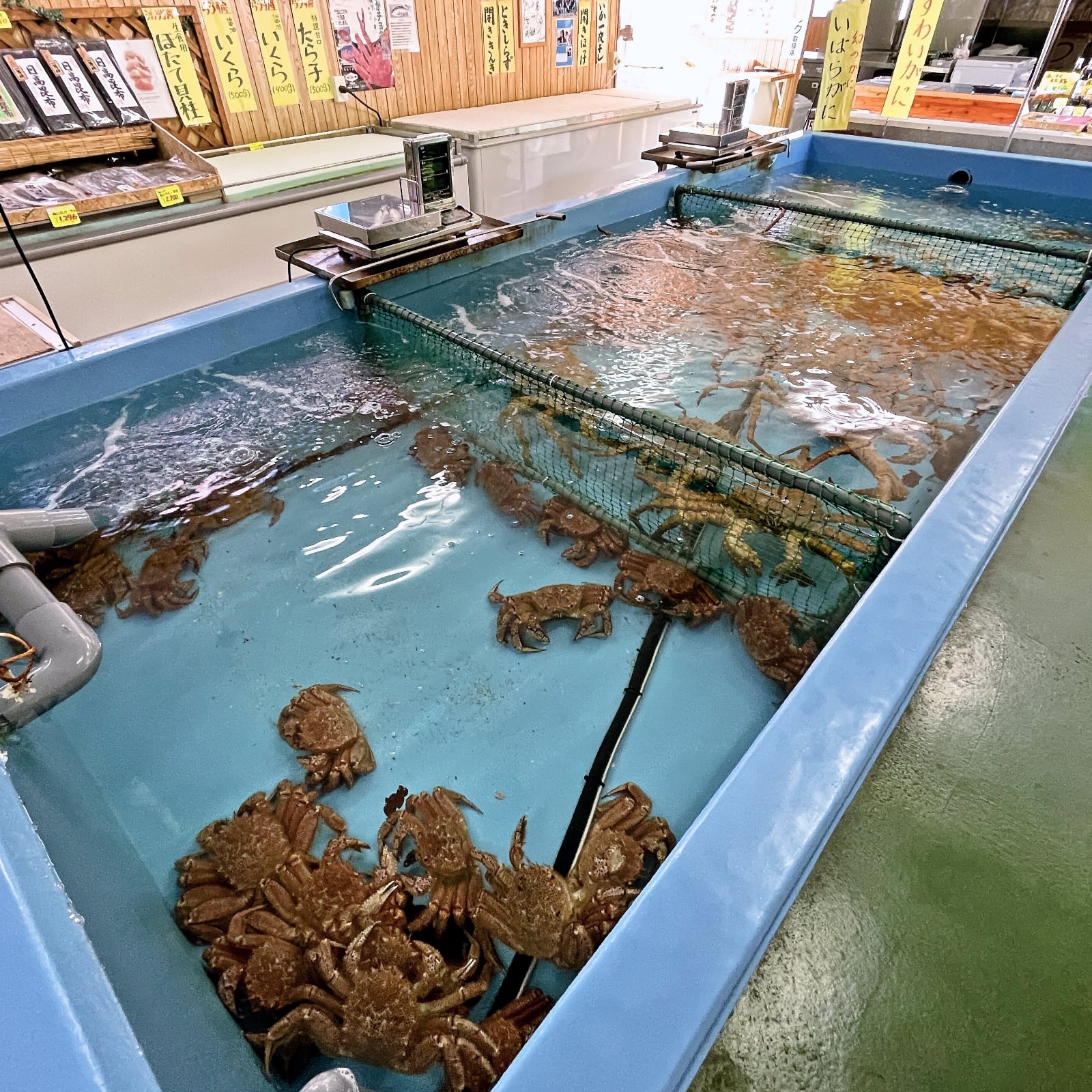 最北端の蟹屋 お食事・カフェ 漁師の店 かにや｜知床斜里町観光協会