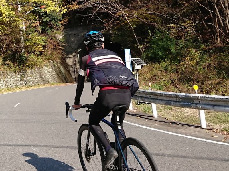 ラファ rapha ブルベインサレーティッドジレ ピンク Sサイズ - 通販