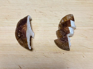 下ごしらえ(椎茸)