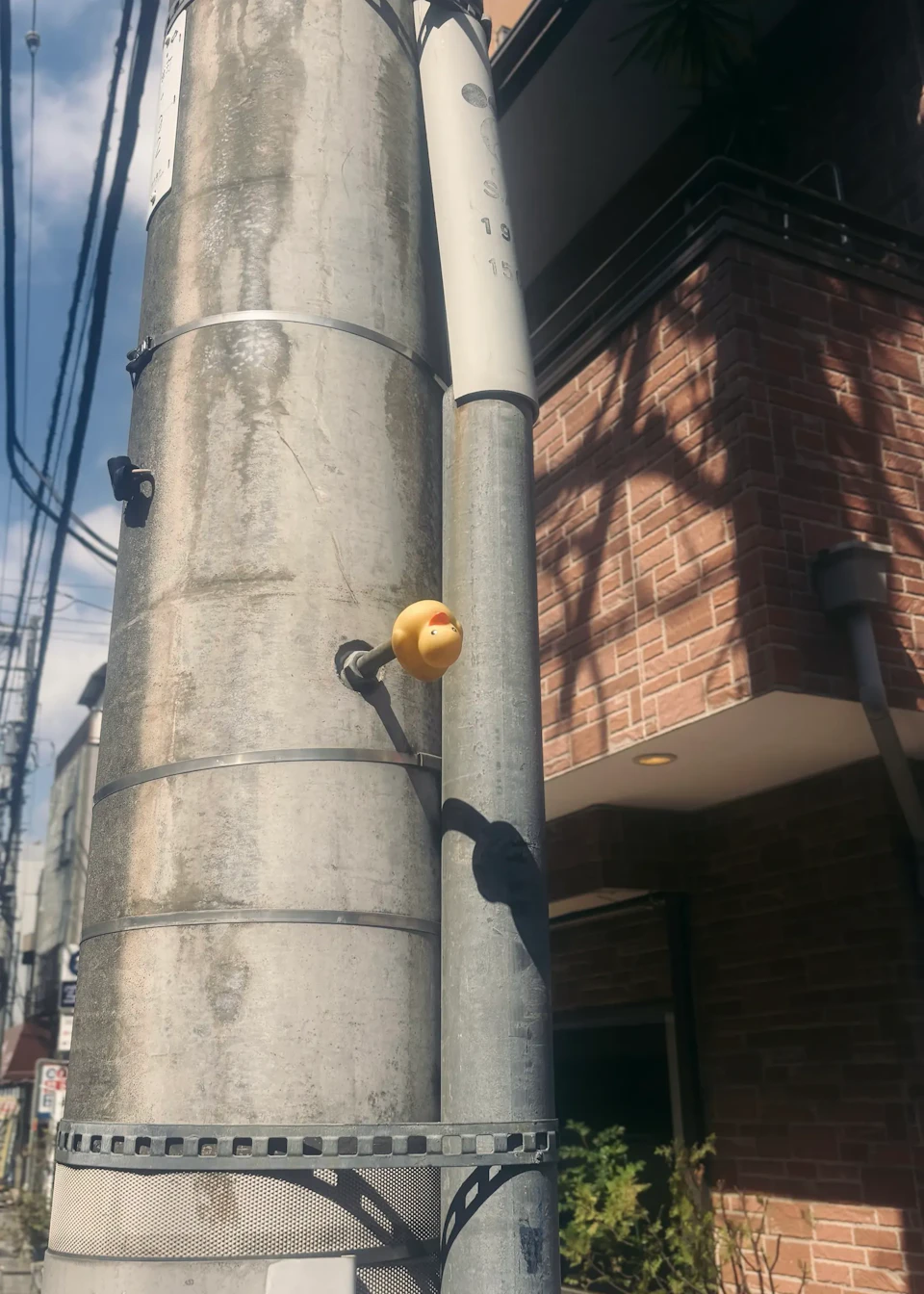 NMisatoの作品 4