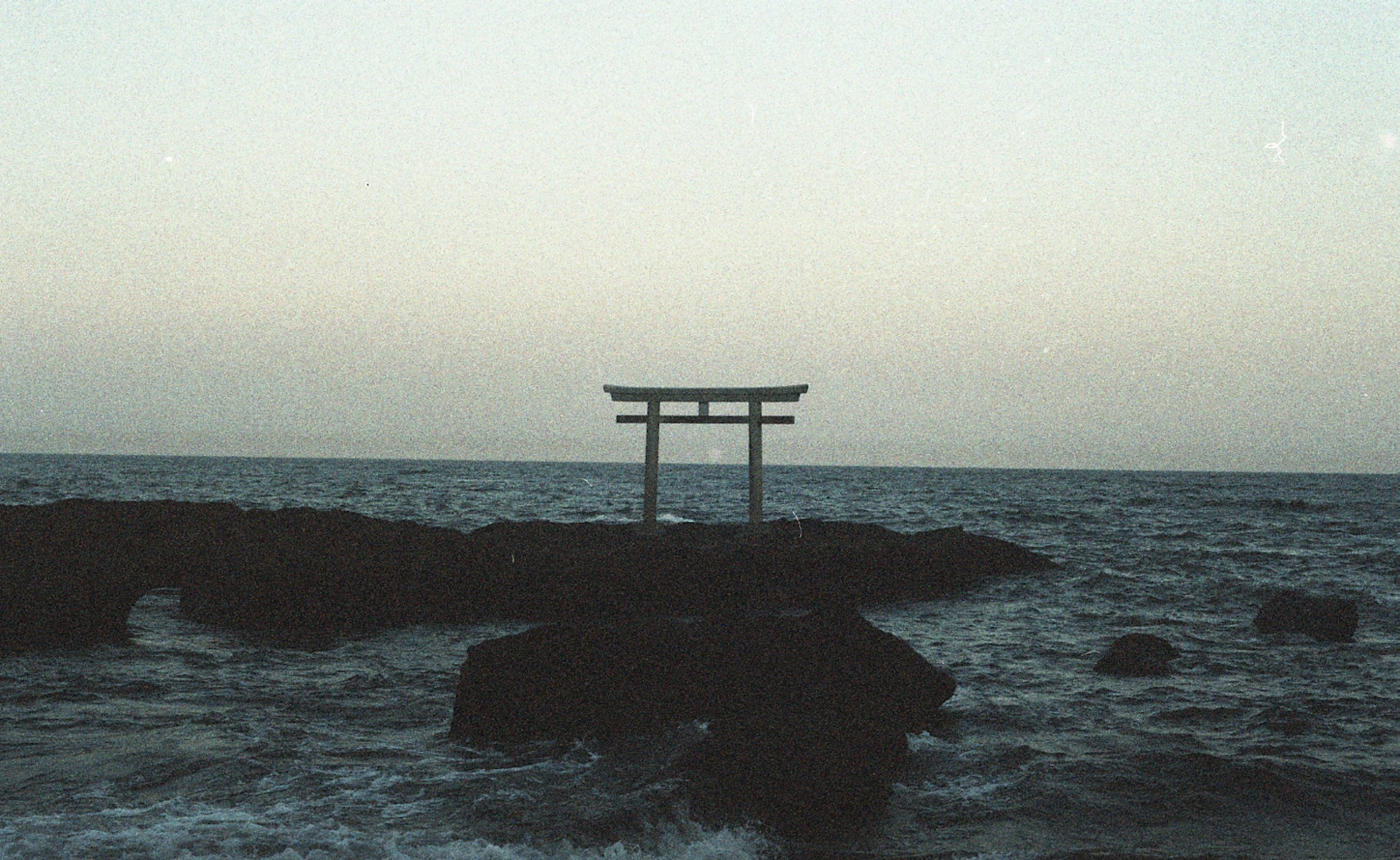 Kota Okamotoの作品 3