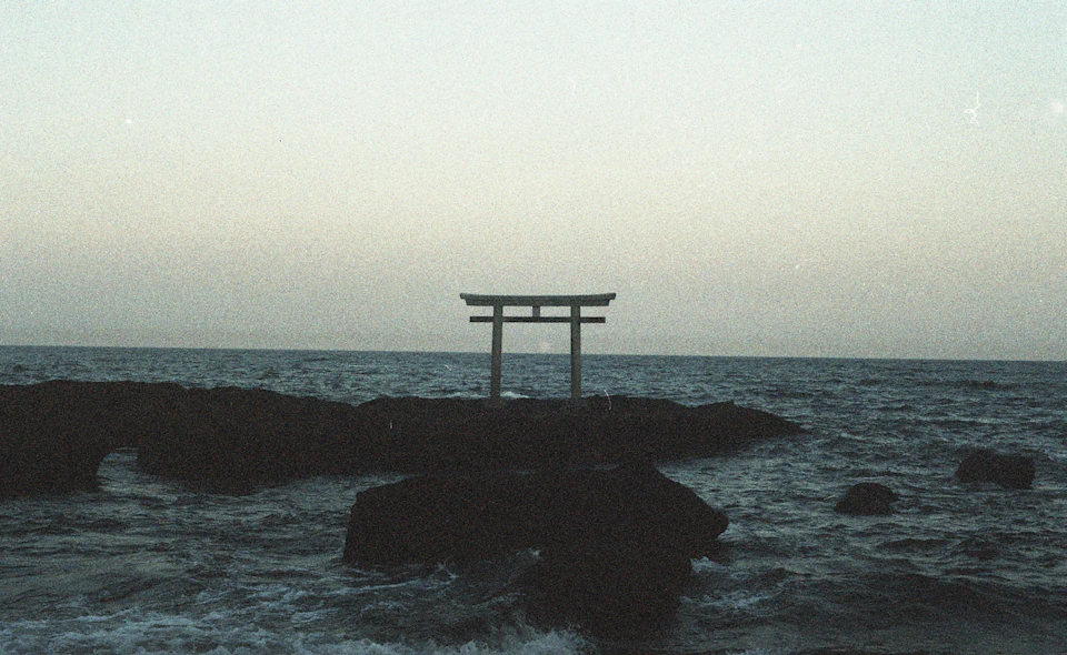 Kota Okamotoの作品 3