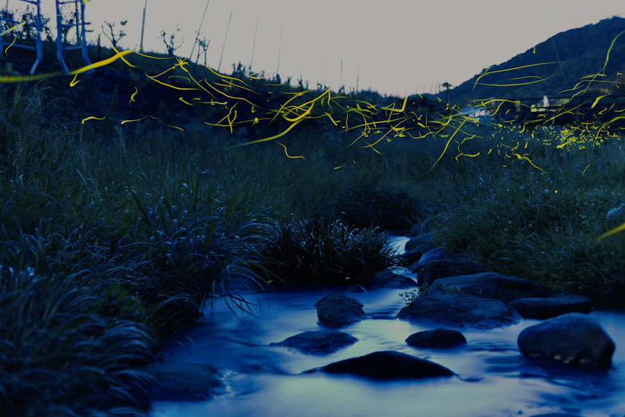 FIrefly　（2026.05.25）の撮影実績写真