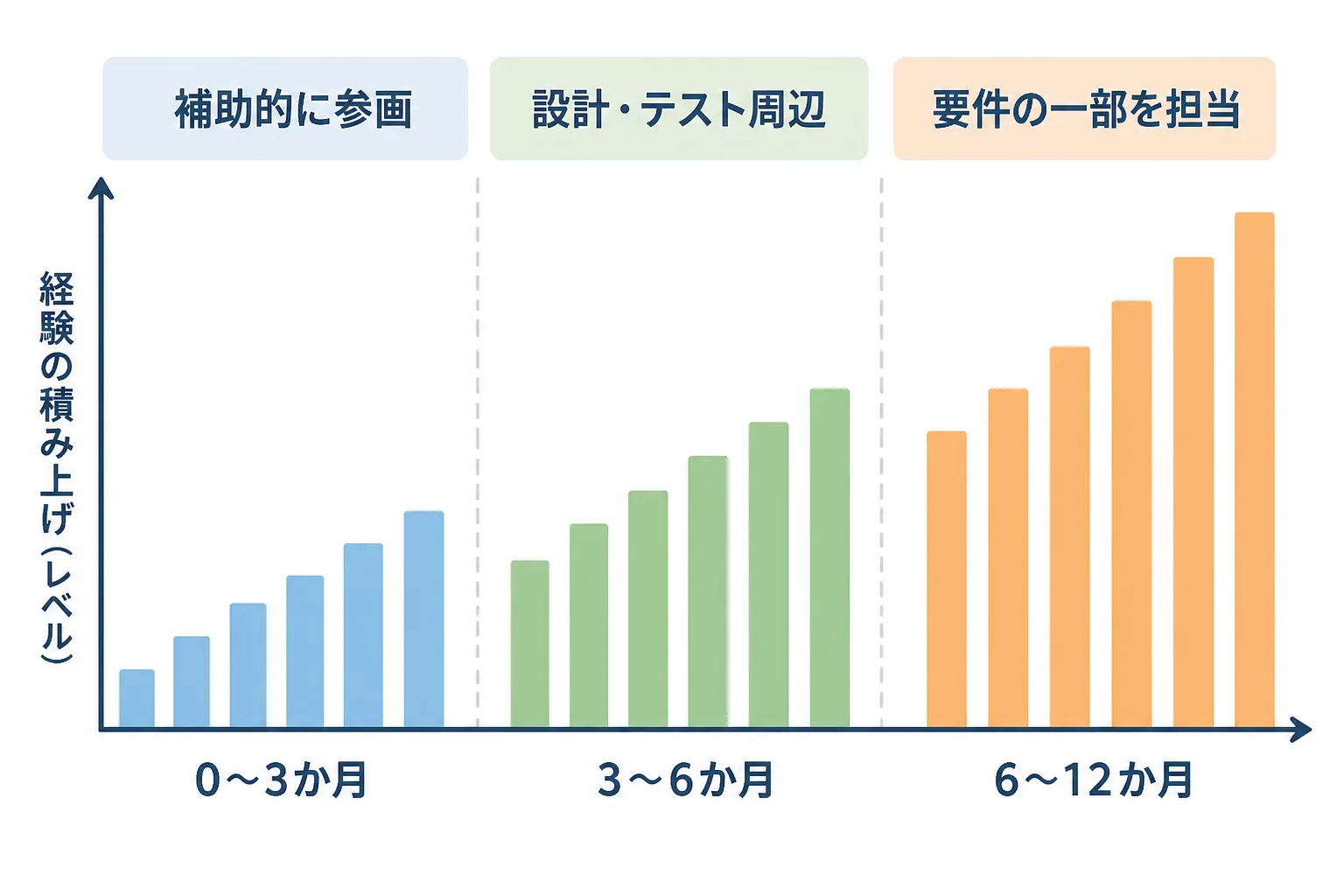 0〜3か月は補助的に参画、3〜6か月は設計・テスト周辺、6〜12か月は要件の一部を担当、と段階が上がる時間軸の図。
