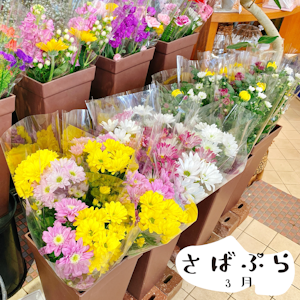アーカイブ写真