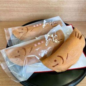 アーカイブ写真