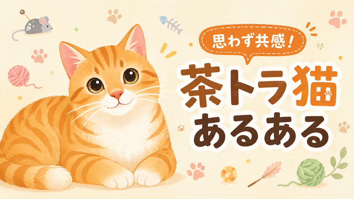 茶トラ猫の性格あるある5選｜ウチのころんの場合