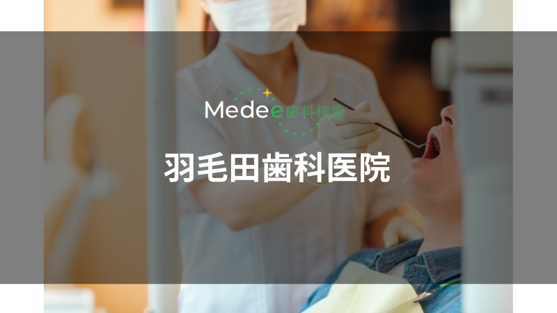 羽毛田歯科医院(南佐久郡)