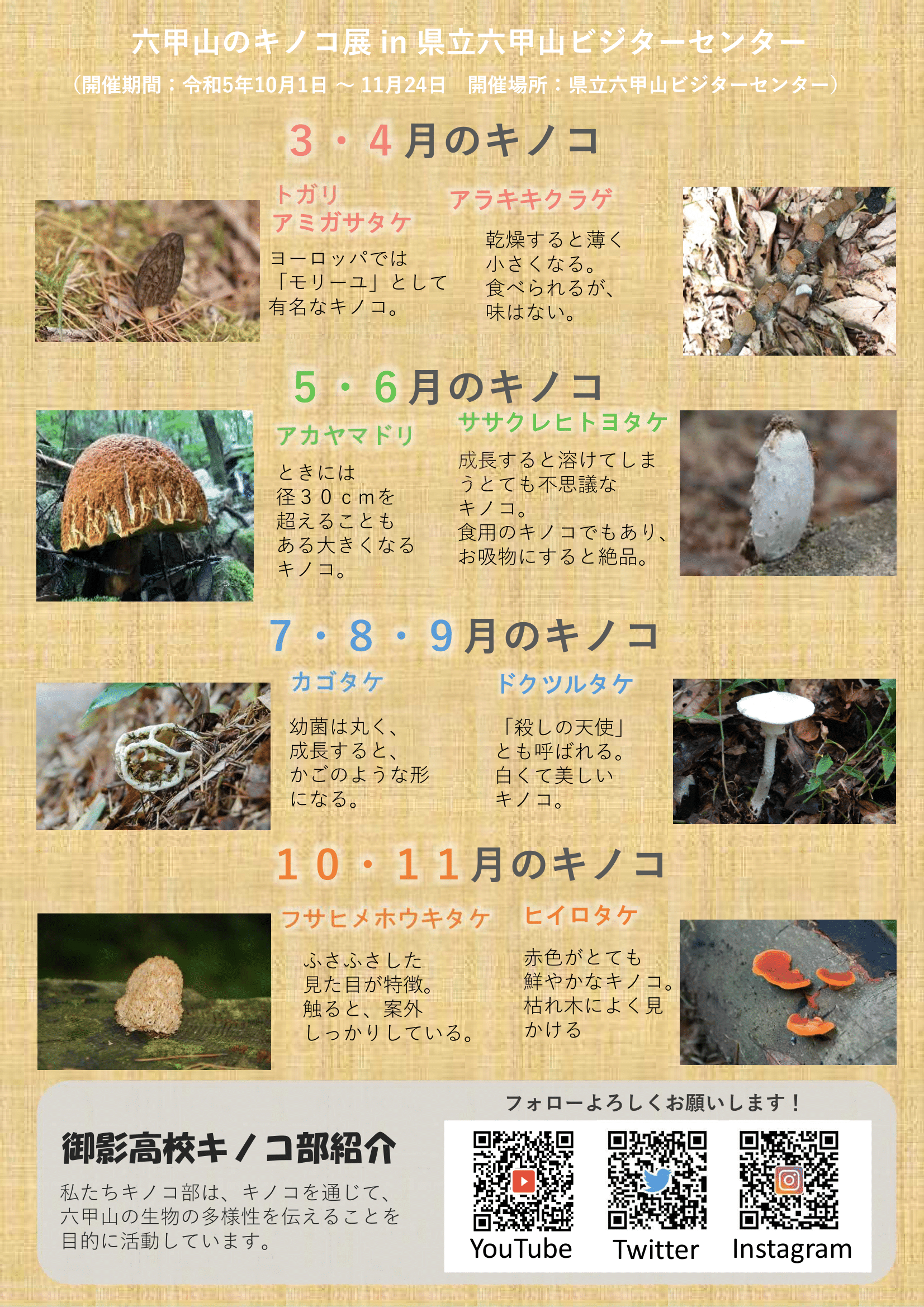 六甲山のキノコ展 | スマートこうべ