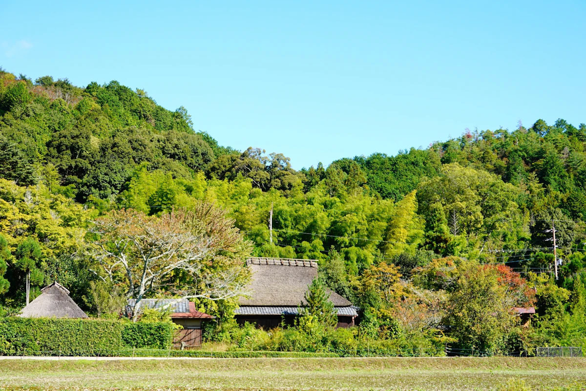 Uターン・移住リノベーションの魅力とは？計画の進め方や成功させるポイント