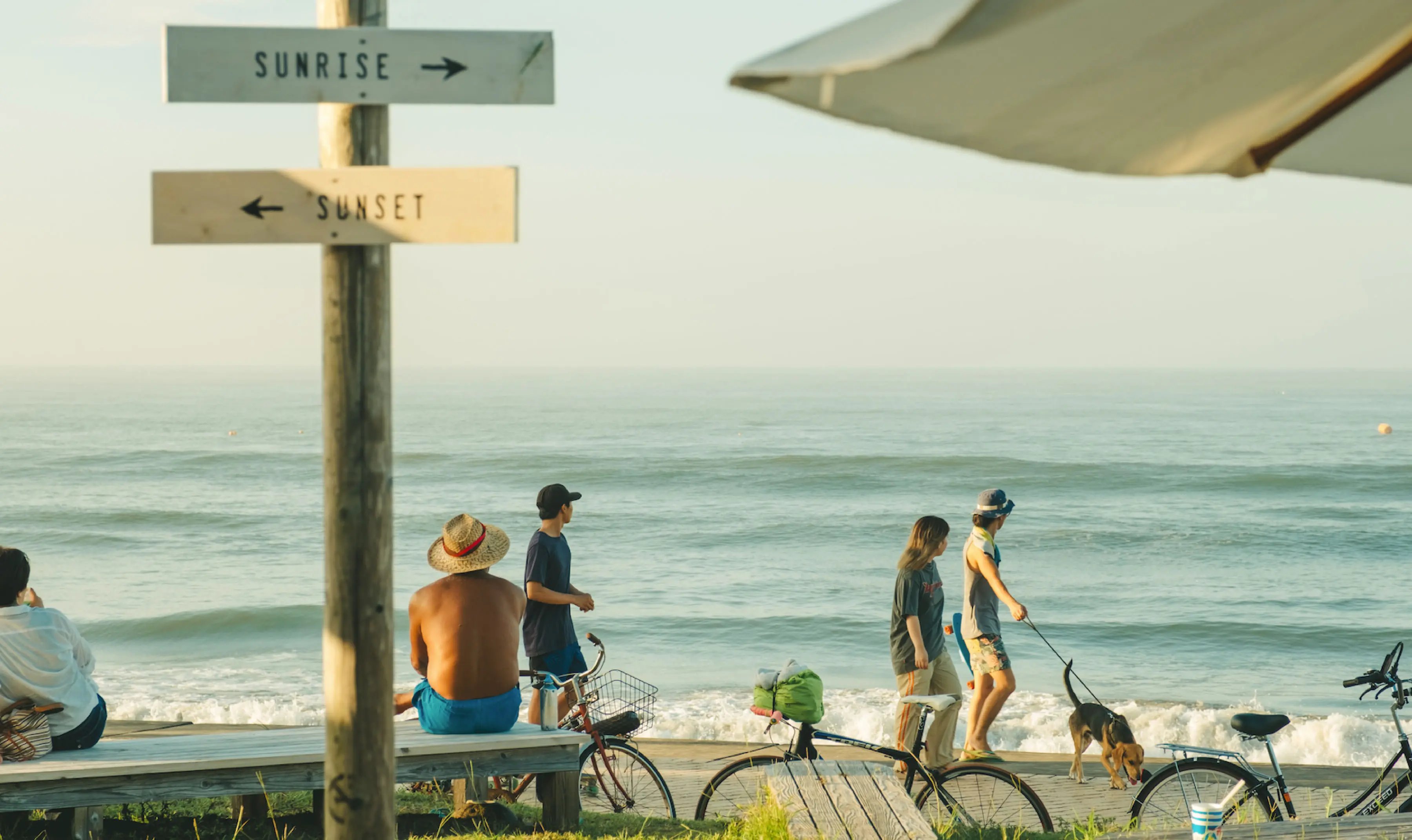 AOSHIMA BEACH PARK - 青島の宿泊・観光施設