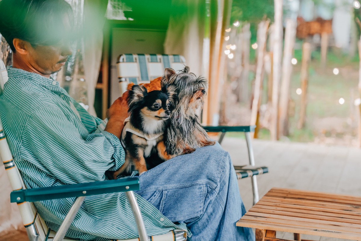 貸切DOGRUN１時間無料！わんちゃんとグランピングプラン！