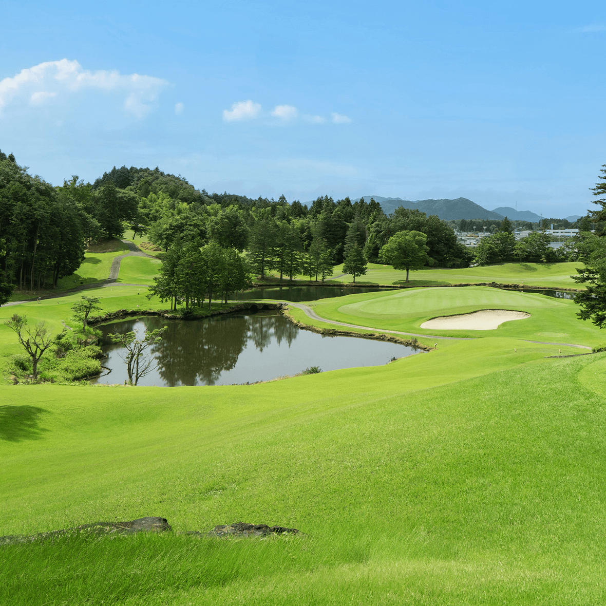 ピートダイゴルフクラブ ロイヤルコース(栃木県) 【公式】ゴルフ場予約サイト|PGM