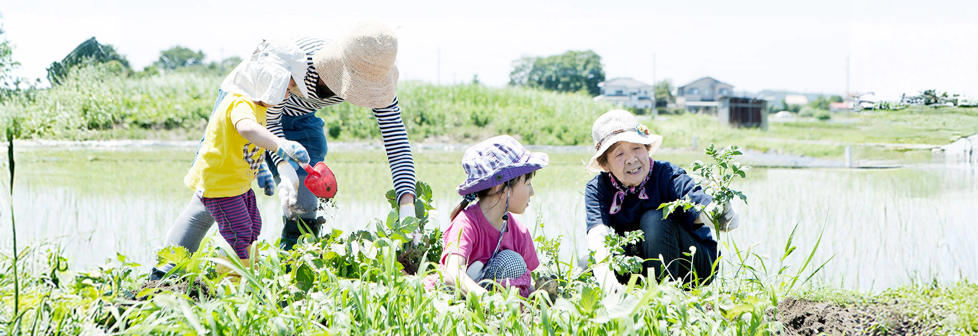 heading-banner2-image