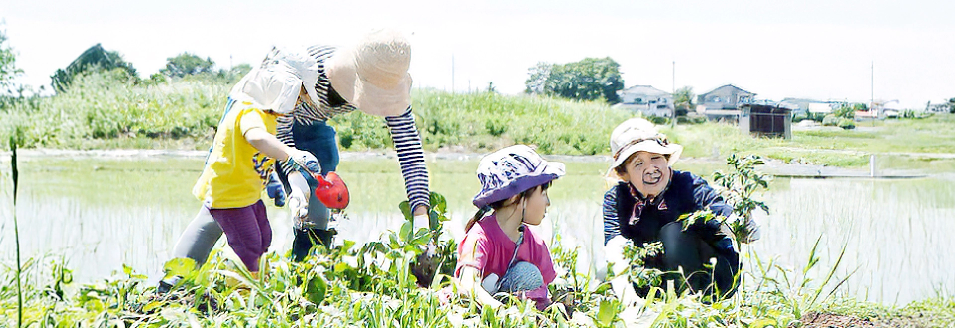 heading-banner2-image