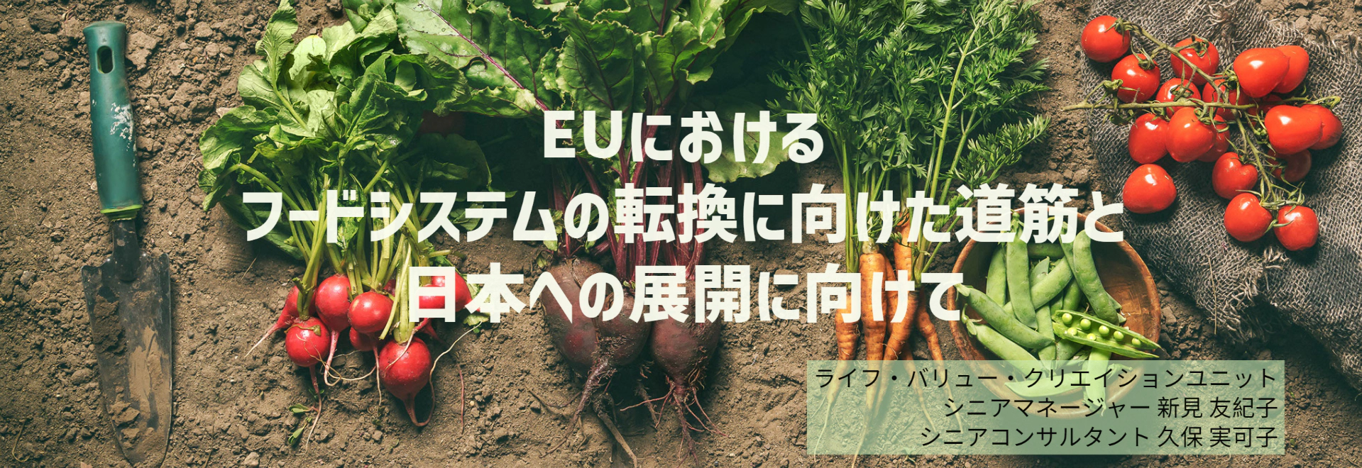 heading-banner2-image