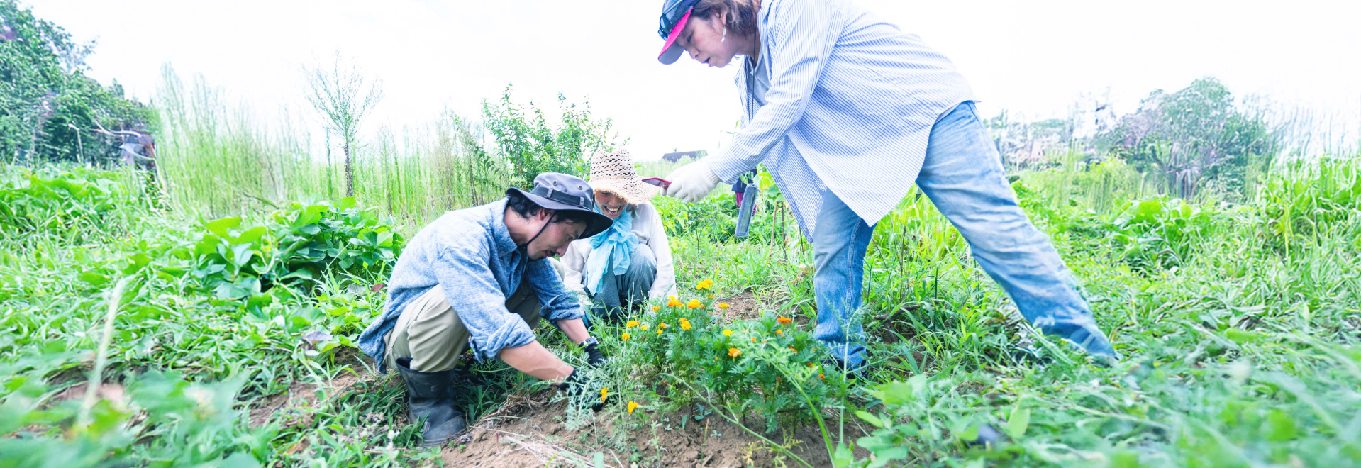 heading-banner2-image
