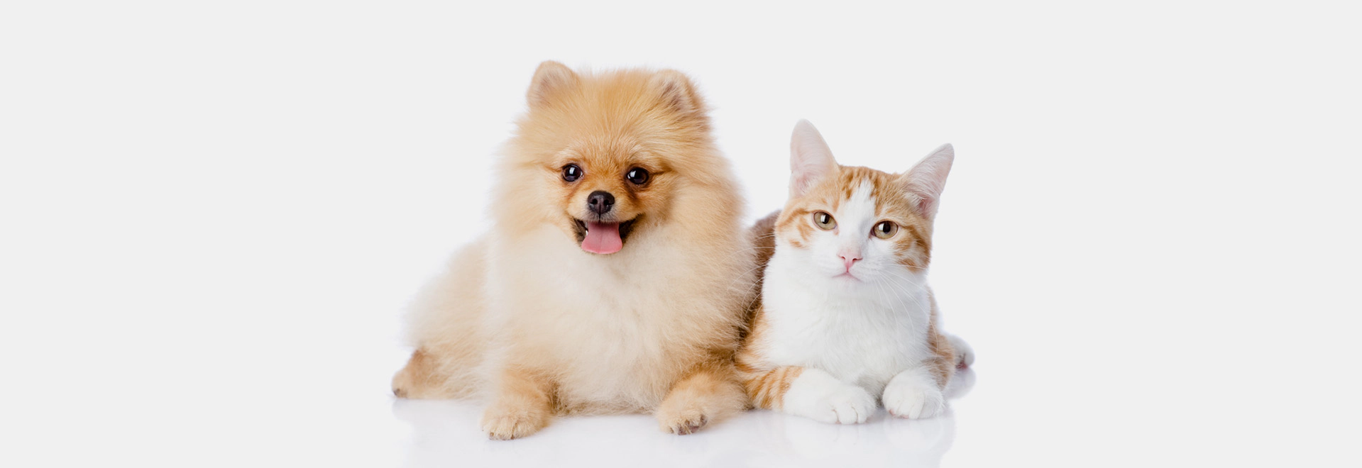 heading-banner2-image