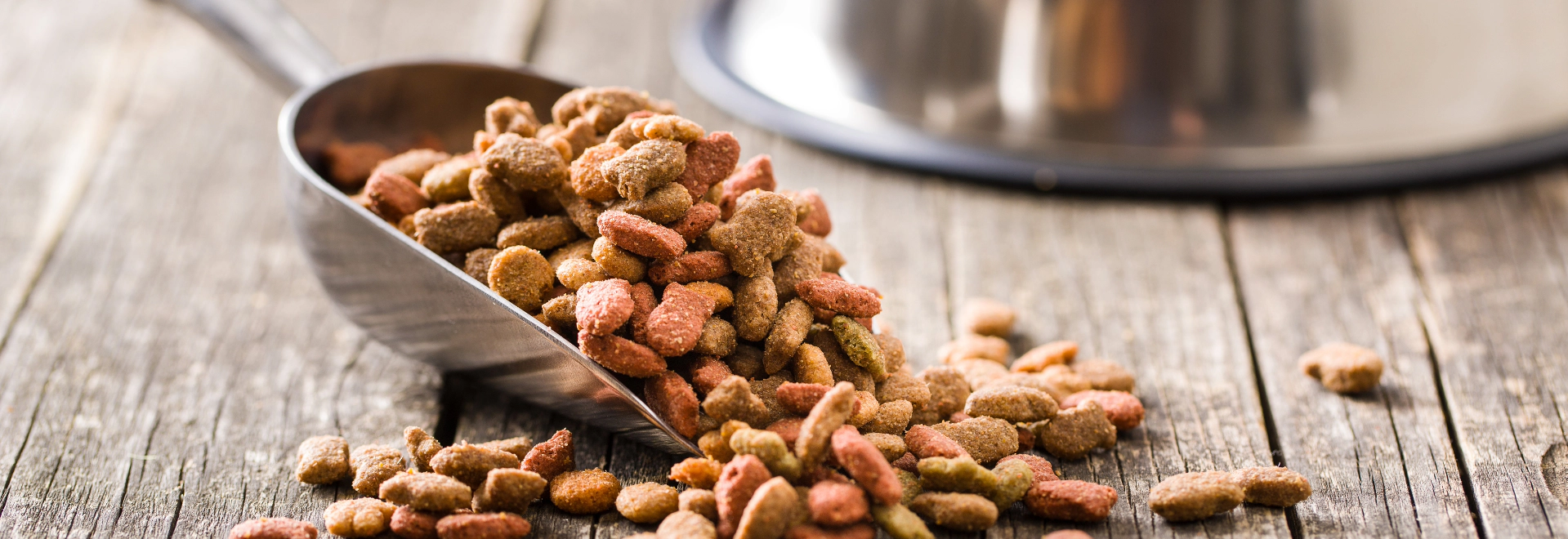 heading-banner2-image