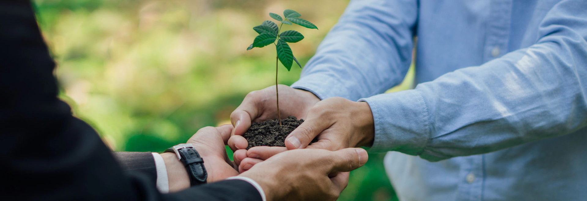 heading-banner2-image