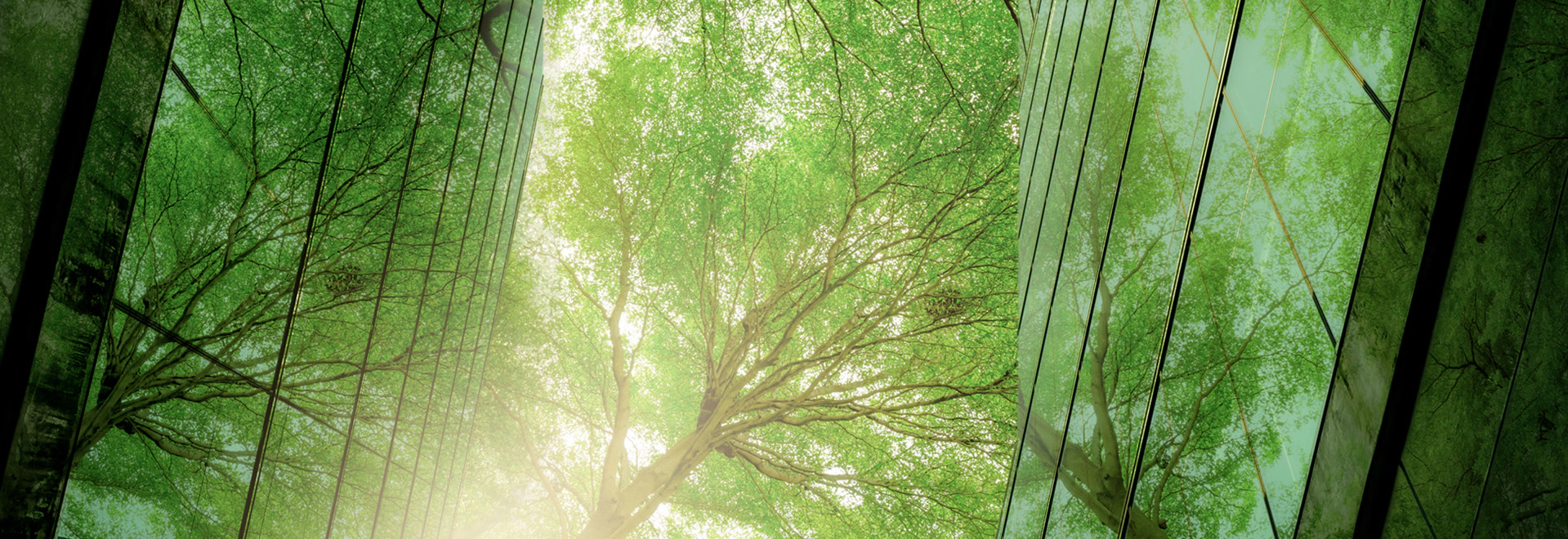 heading-banner2-image