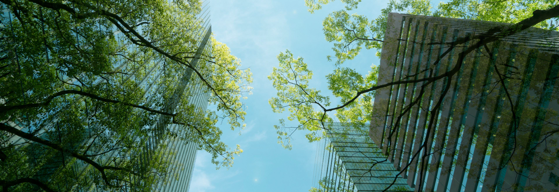 heading-banner2-image