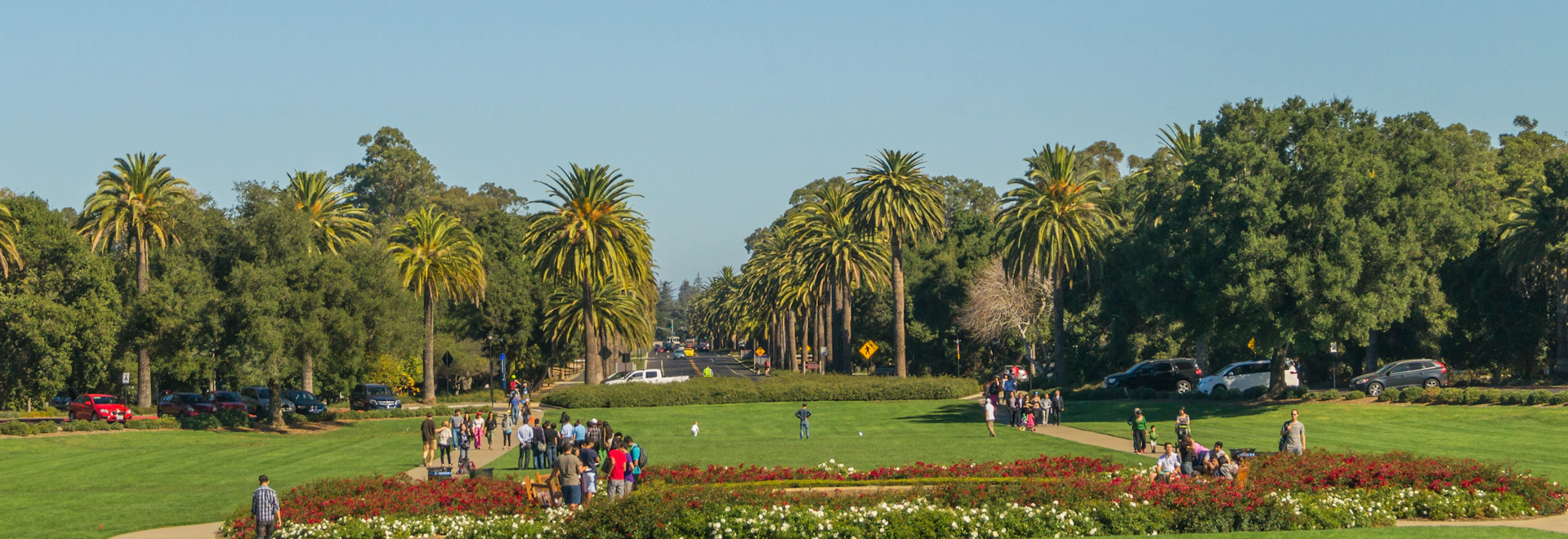 heading-banner2-image