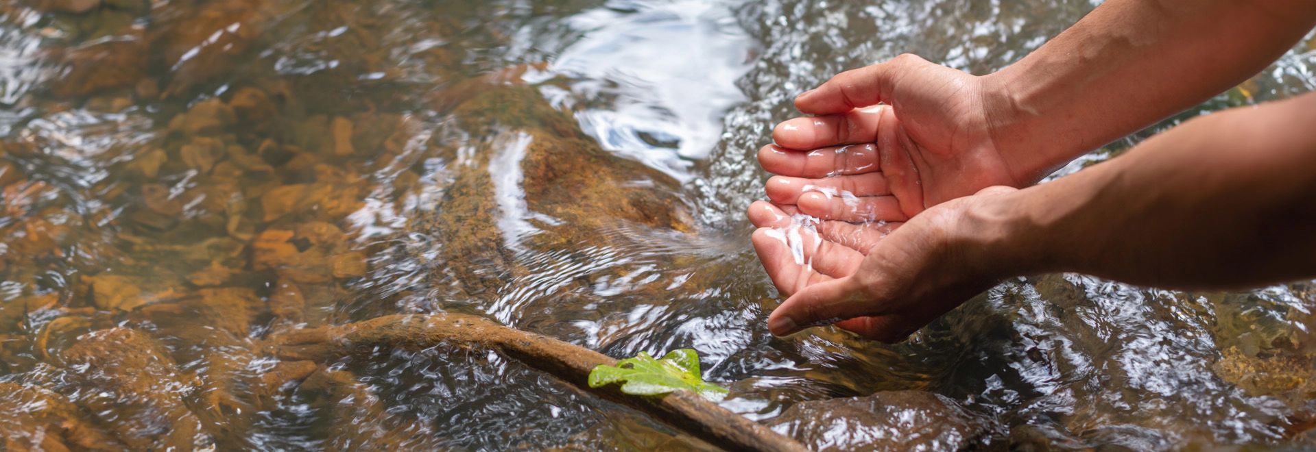 heading-banner2-image
