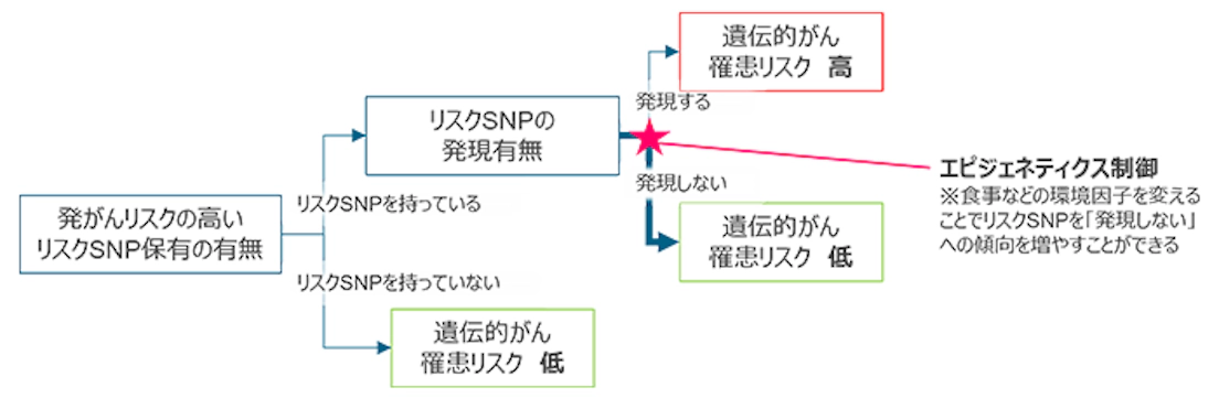 遺伝と人間 51Eb8oqWGFL._UF894,1000_QL80_.jpg