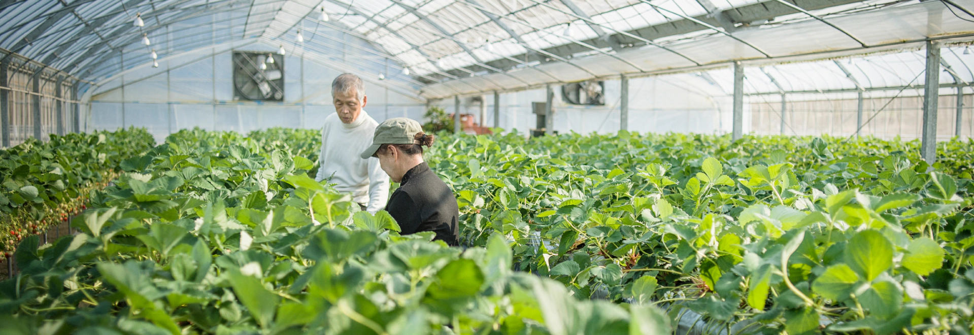 heading-banner2-image