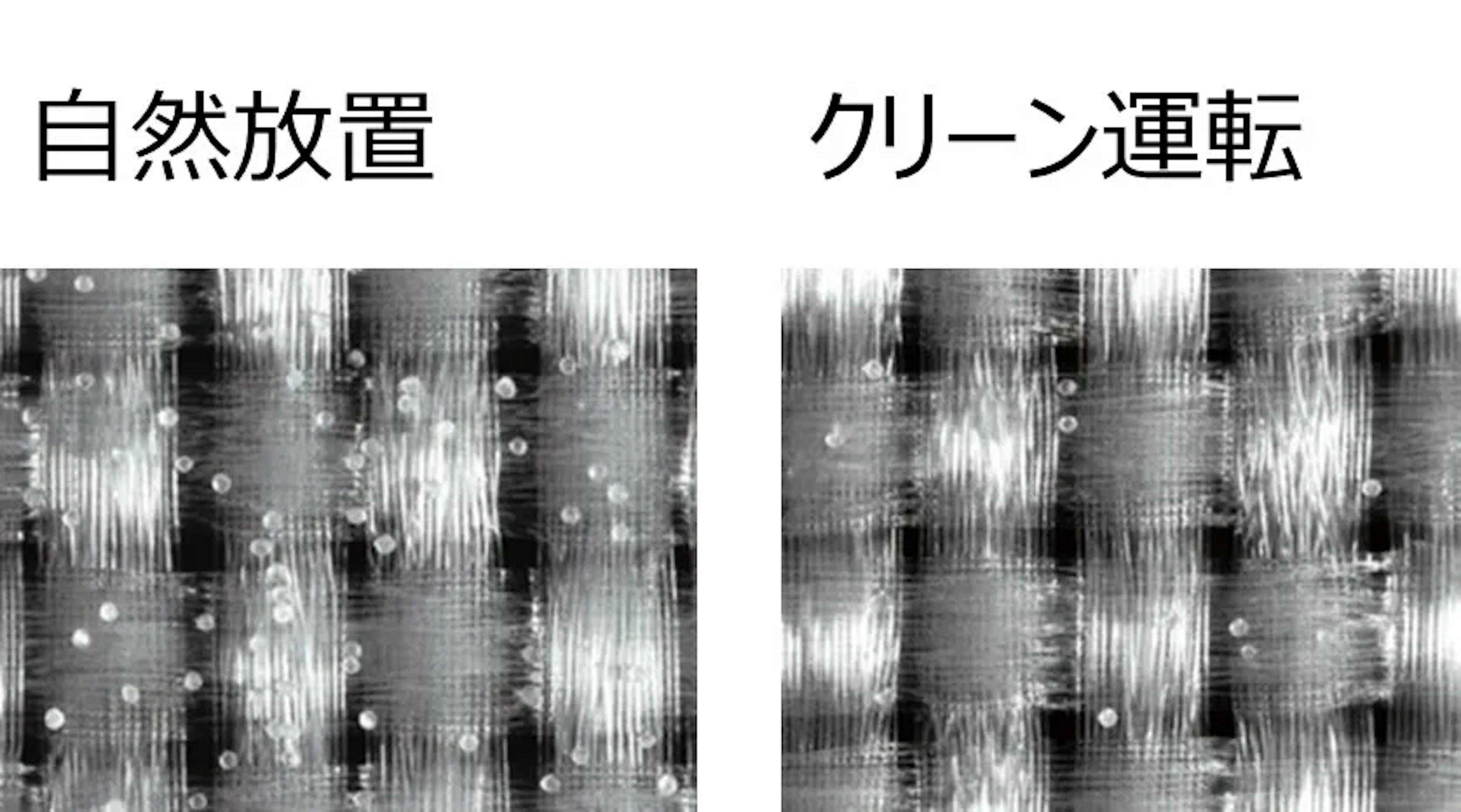 「花粉付着」抑制