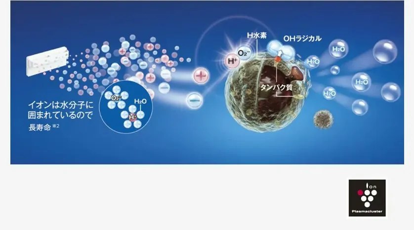 浮遊カビ菌やニオイを抑える 注1)