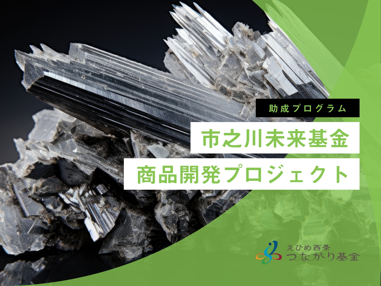 市之川未来基金