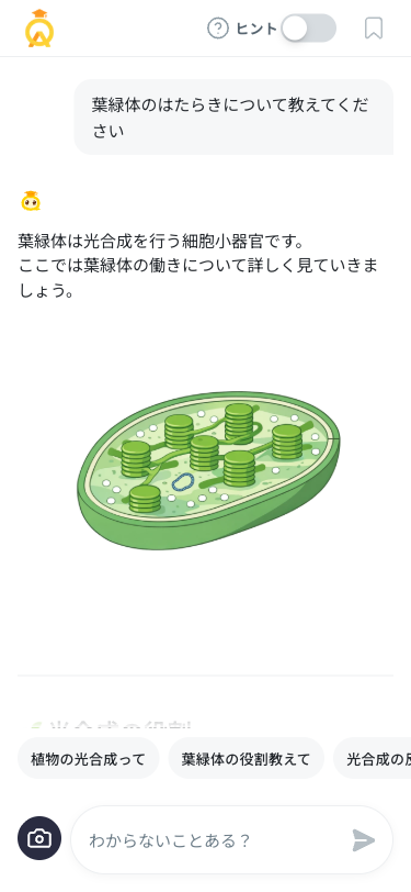 葉緑体のイラスト表示