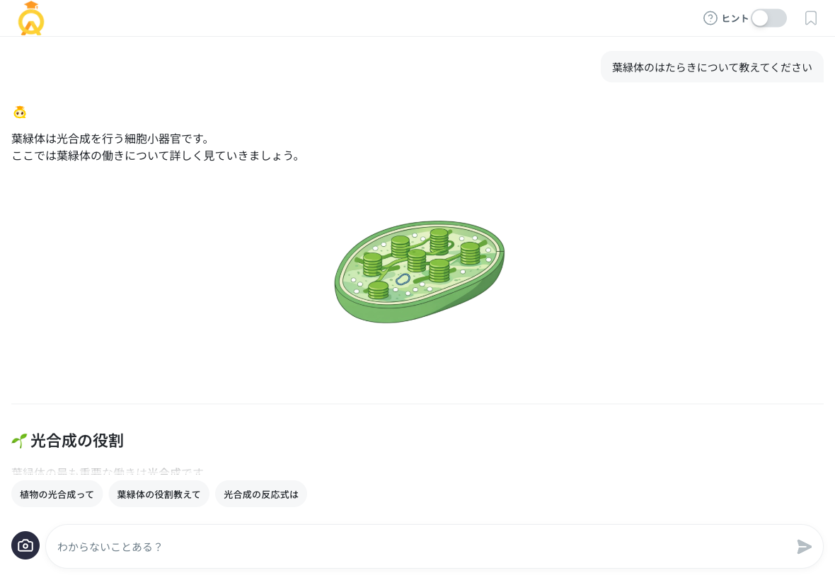 葉緑体のイラスト表示