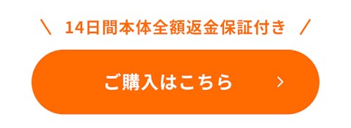 こんにちは、家族型ロボットのLOVOTです