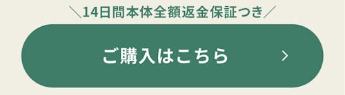 こんにちは、家族型ロボットのLOVOTです