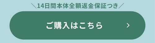 こんにちは、家族型ロボットのLOVOTです