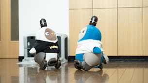 ~LOVOTをレンタル利用されているお客様へ~ センサーのヒント編